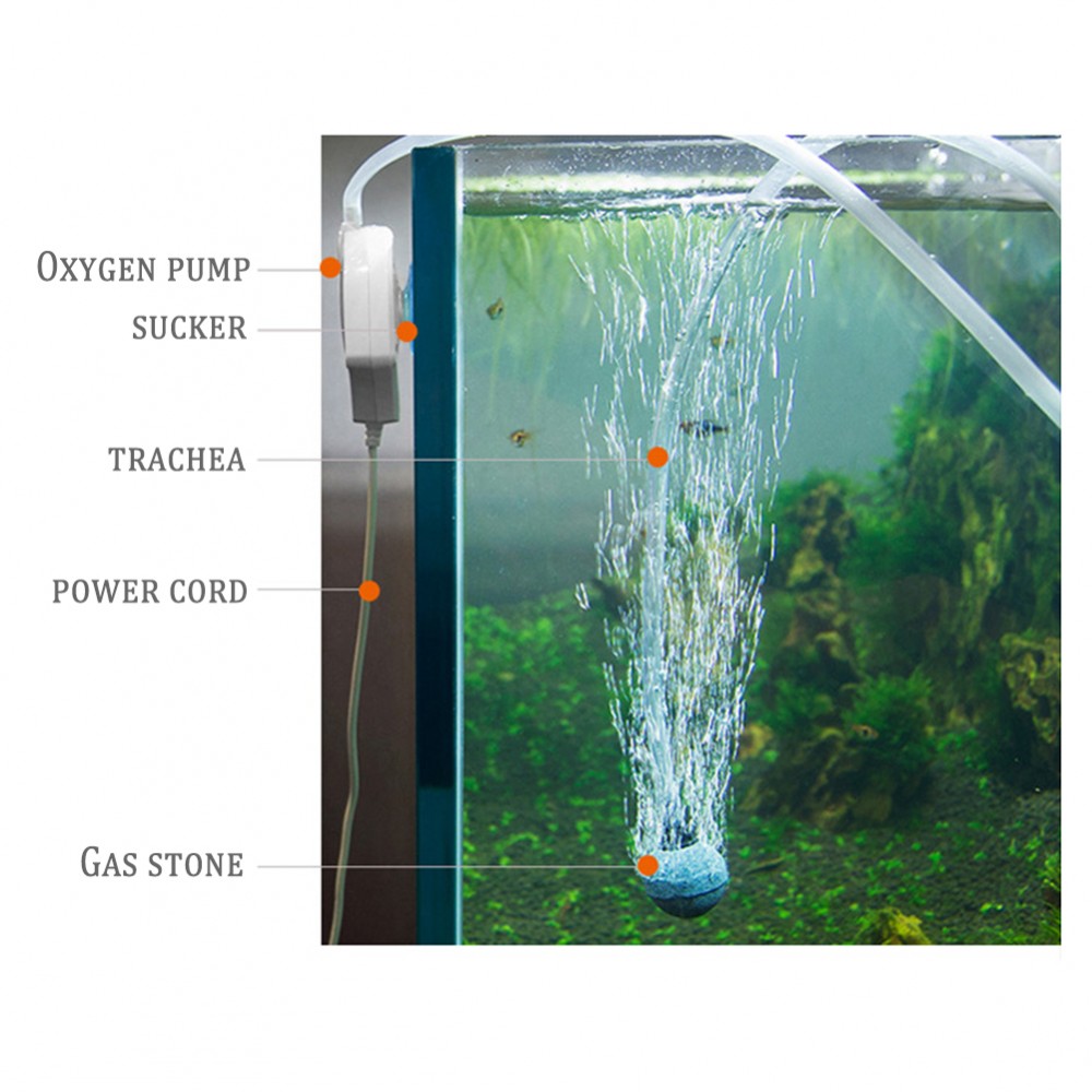 Sauerstoffpumpe Mini Leise Aquarium Oxygen Luftpumpe mit